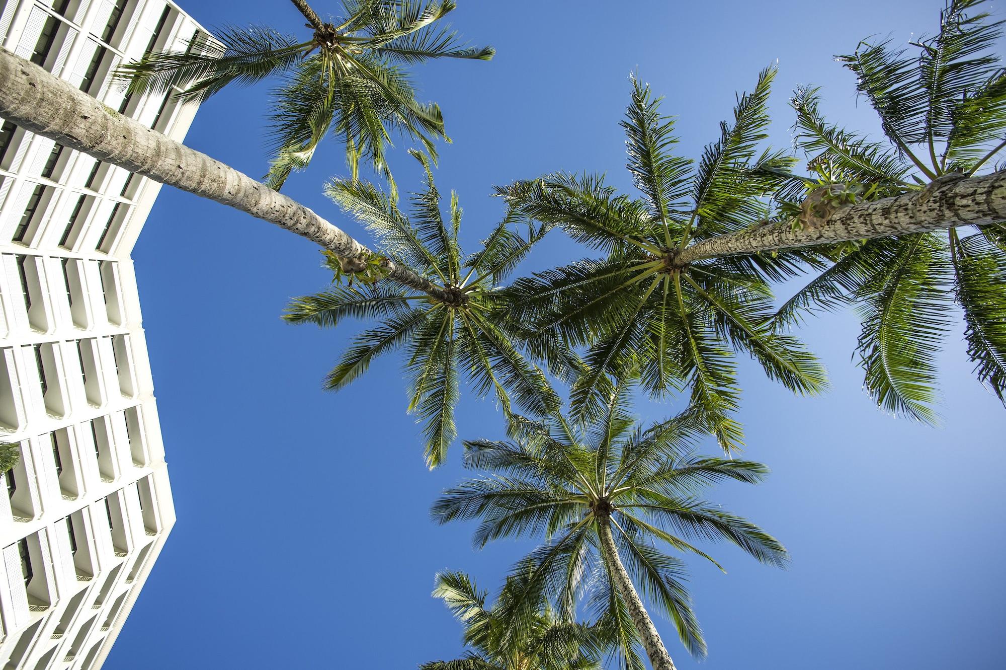 Rydges Esplanade Resort Cairns Zewnętrze zdjęcie